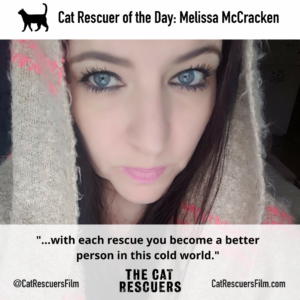 Cat Rescuer of the Day Melissa McCracken